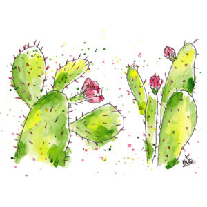 Lámina Cactus