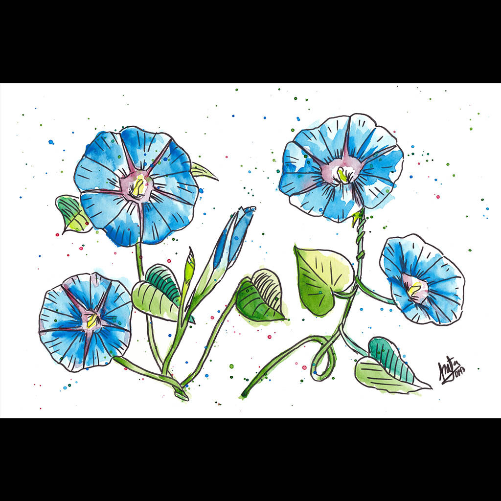 Dibujo Original Geranios Azules - Flores Acuarela - NataDPB