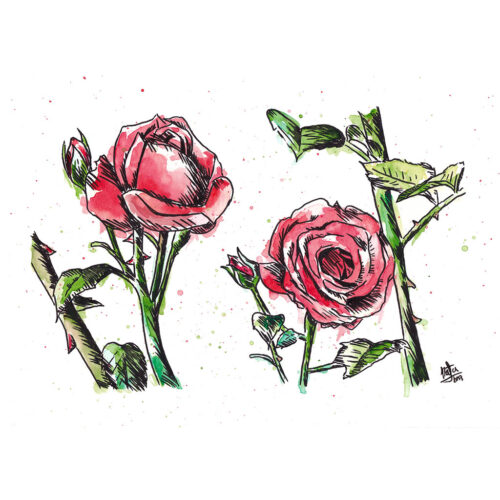 Lámina Rosas Rojas - Imagen 2