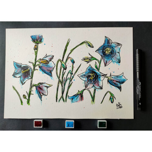 Dibujo Original Campánulas - Imagen 2